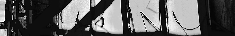 Section of photo by William C. Crawford