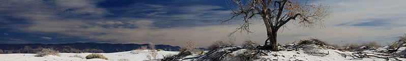 From the photo, Unbreakable by Fabrice Poussin