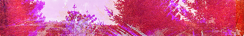 detail of Nature_Washes_Clean1 by Karen Olsen-Dunn