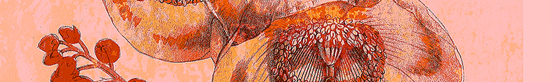 detail of Faulty_Seed_Code by Karen Olsen-Dunn