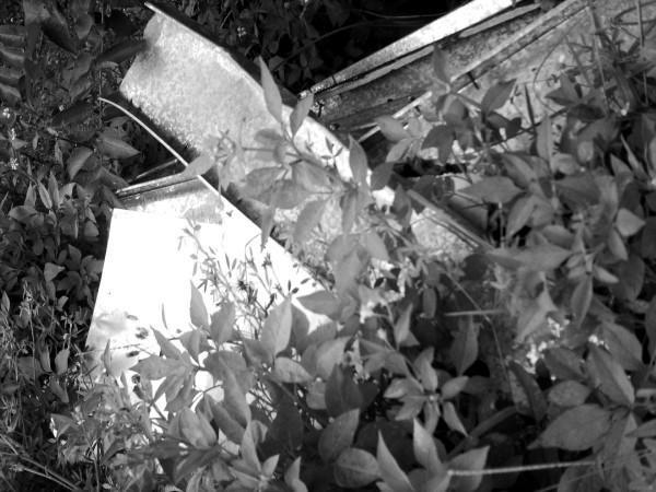 Steel, Weeds