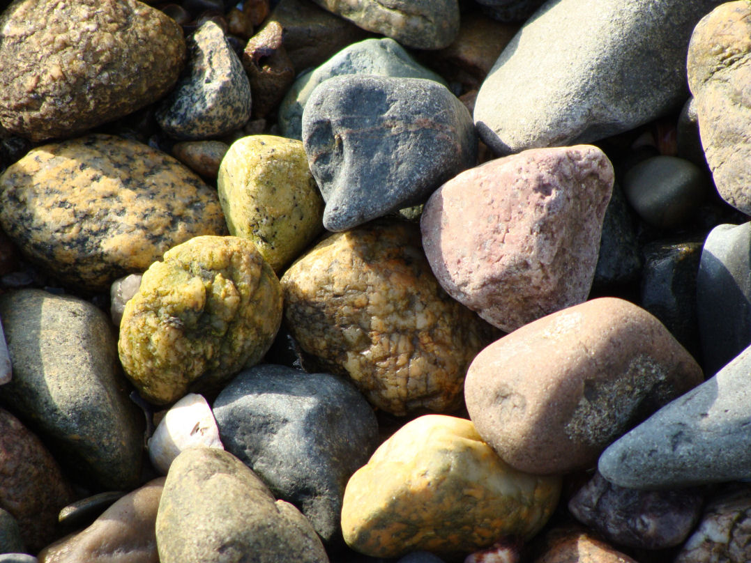 Boston Harbor Rocks